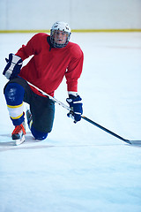 Image showing ice hockey player in action