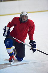 Image showing ice hockey player in action