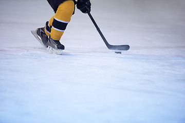 Image showing ice hockey player in action