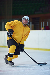 Image showing ice hockey player in action