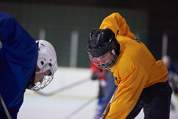 Image showing ice hockey player in action