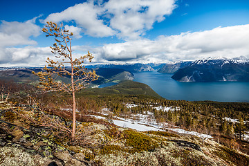 Image showing Beautiful Nature Norway - Sognefjorden.