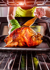 Image showing Cooking chicken in the oven at home.