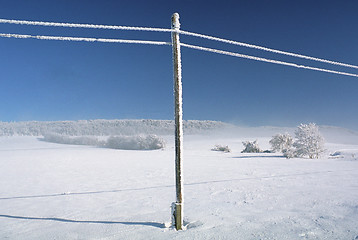 Image showing Winter lanscape with snowy telephone lines