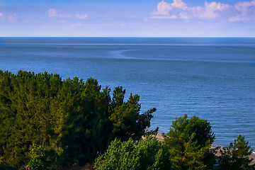 Image showing Landscape with sea views. Pitsunda, Abkhazia.