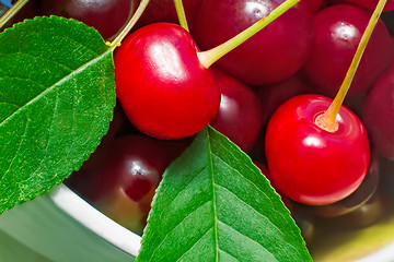 Image showing Bright red delicious ripe cherries