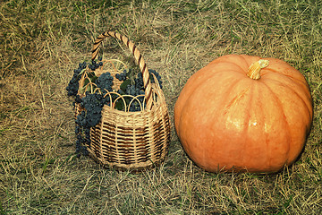 Image showing Still life: large ripe pumpkin and a basket of grapes.