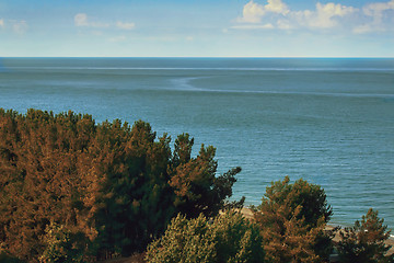 Image showing Landscape with sea views. Pitsunda, Abkhazia.