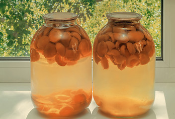 Image showing Home canning: large glass cylinders with apricot compote.