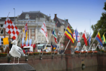 Image showing Seagull standing on a pillar, centre of Hague at lake Hofvijver 