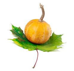 Image showing Orange decorative pumpkin on maple-leaf