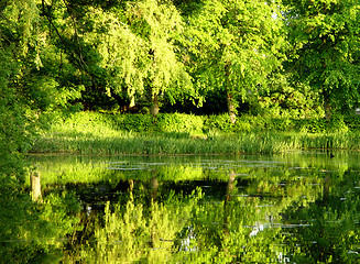 Image showing green water