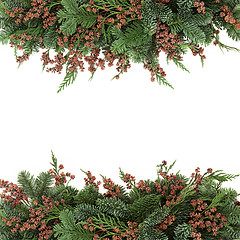 Image showing Spruce and Cedar Cypress Border