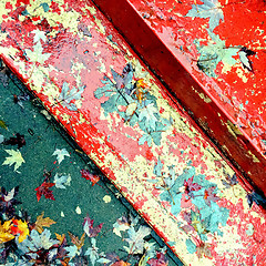 Image showing Old painted steps covered with autumn leaves