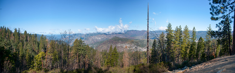 Image showing Panorama in Yosemite 