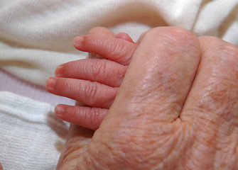 Image showing HANDS