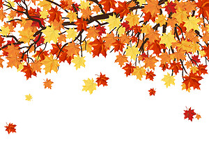Image showing Autumn Leaves  Frame