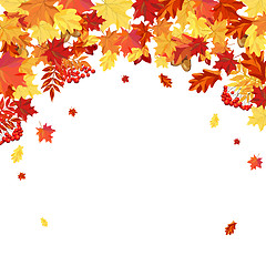 Image showing Autumn Leaves  Frame