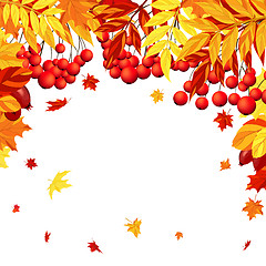 Image showing Autumn Leaves  Frame