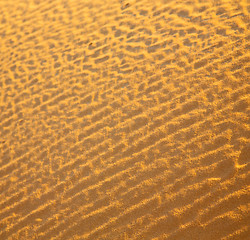 Image showing africa the brown sand dune in   sahara morocco desert line