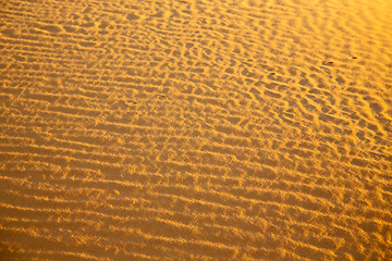 Image showing africa the brown sand dune in     morocco desert line