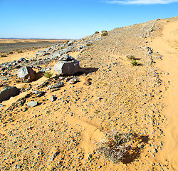 Image showing  old fossil in  the desert of morocco sahara and rock  stone sky