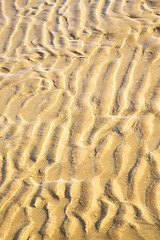 Image showing dune morocco in   wet sand beach near atlantic ocean