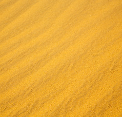 Image showing africa the brown sand dune in   sahara morocco desert line