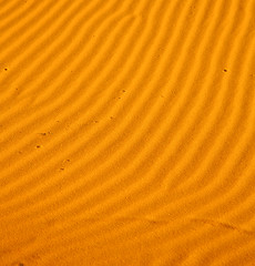 Image showing the brown sand dune in the sahara morocco desert 