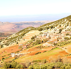 Image showing dades valley in atlas moroco africa ground tree  and nobody