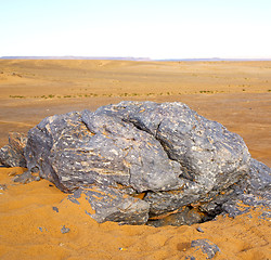 Image showing  old fossil in  the desert of morocco sahara and rock  stone sky