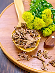 Image showing Root dry of Rhodiola rosea with knife on board