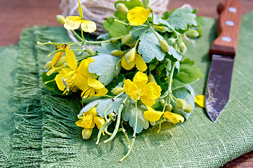 Image showing Celandine with knife on board