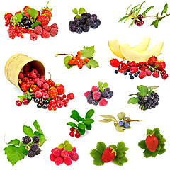 Image showing Berries and melon set