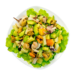 Image showing Salad seafood and avocado in plate on top
