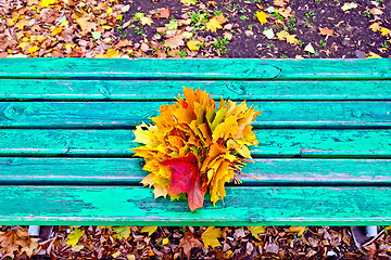 Image showing Maple leaves on bench