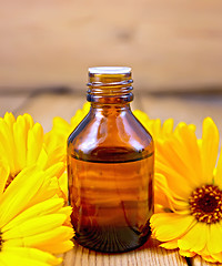 Image showing Oil with calendula on board