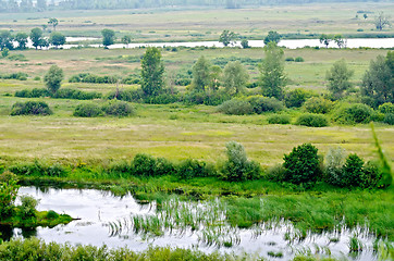 Image showing River ducts