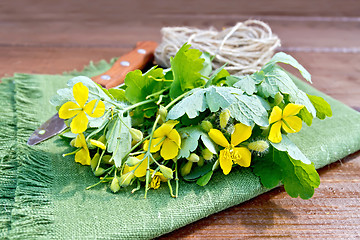 Image showing Celandine with knife and twine on board