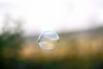 Image showing Soap bubble on the background