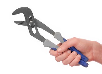 Image showing Hand and Tool