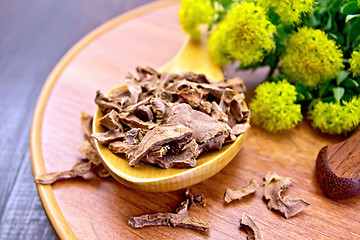 Image showing Root dry of Rhodiola rosea in spoon on tray