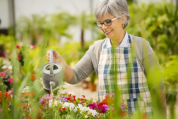 Image showing Mature woman watering flowers