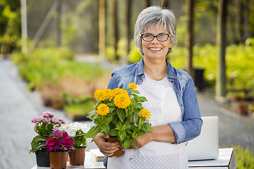 Image showing Working in a flower shop