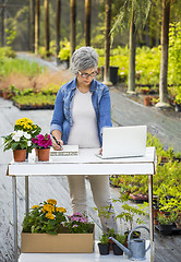 Image showing Working in a flower shop