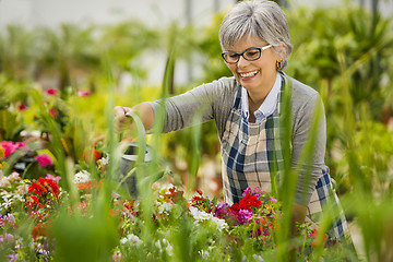 Image showing Mature woman watering flowers