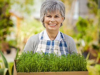 Image showing Choosing fresh herbs