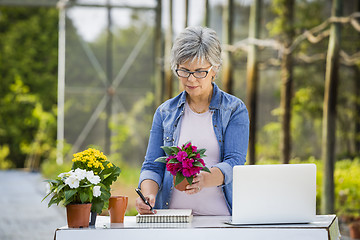 Image showing Working in a flower shop