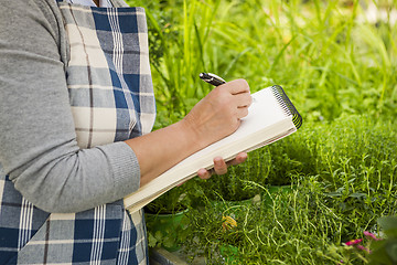 Image showing Working in a greenhouse