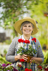 Image showing A day in a green house